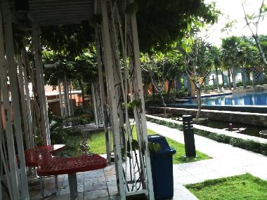 Poolside Garden