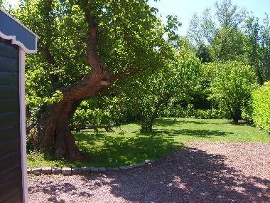 Holiday House in Veere (Zeeland) or holiday homes and vacation rentals