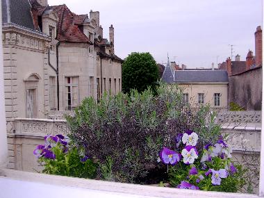 Holiday Apartment in DIJON (C�te-d'Or) or holiday homes and vacation rentals