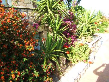 Holiday House in Hanioti (Chalkidiki) or holiday homes and vacation rentals