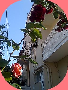 Looking at the balkonies a