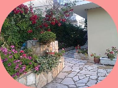 The well in the garden