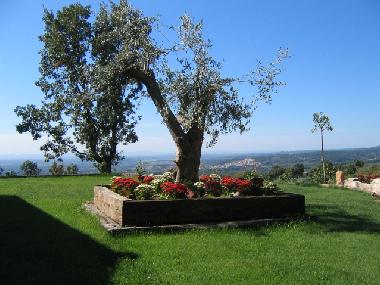 Holiday House in CANDELEDA-EL RASO (vila) or holiday homes and vacation rentals