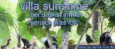 Bed and Breakfast in Ahangama (Galle) or holiday homes and vacation rentals