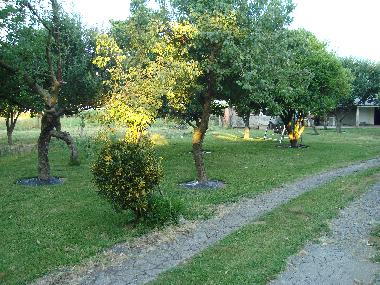 Chalet in Vila Franca (Norte) or holiday homes and vacation rentals