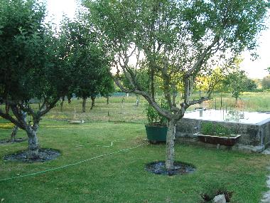 Chalet in Vila Franca (Norte) or holiday homes and vacation rentals