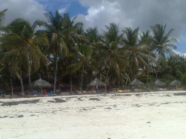 Holiday Apartment in Watamu (Coast) or holiday homes and vacation rentals