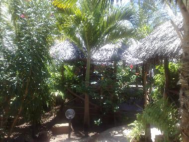 Holiday Apartment in Watamu (Coast) or holiday homes and vacation rentals