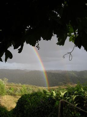 Holiday House in Gaviao (Alentejo Litoral) or holiday homes and vacation rentals