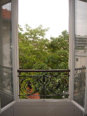 Trees view (Living room view)