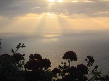 Holiday Apartment in Los Christianos (Teneriffa) or holiday homes and vacation rentals