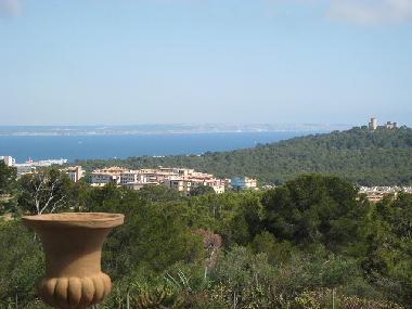 Chalet in Son vida (Mallorca) or holiday homes and vacation rentals