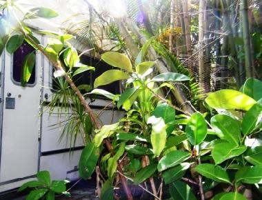 Holiday House in fort lauderdale (Florida) or holiday homes and vacation rentals