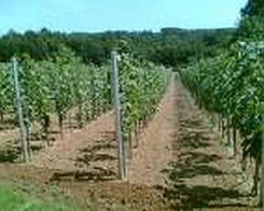 Holiday Apartment in Vrbnik KRK (Primorsko-Goranska) or holiday homes and vacation rentals