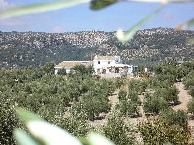Hotel in Montefrio (Granada) or holiday homes and vacation rentals