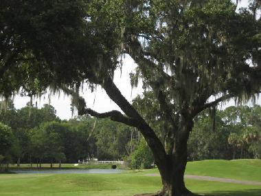 Holiday House in Okatie (South Carolina) or holiday homes and vacation rentals