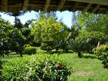 Holiday Apartment in diani (Coast) or holiday homes and vacation rentals