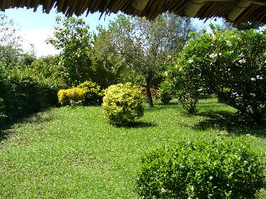 Holiday Apartment in diani (Coast) or holiday homes and vacation rentals