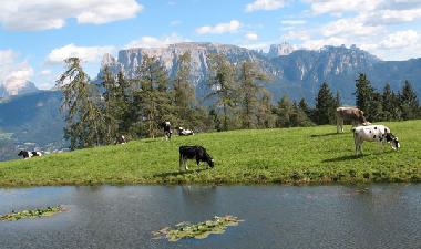 Holiday Apartment in Klobenstein (Bolzano-Bozen) or holiday homes and vacation rentals