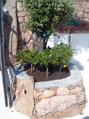 Holiday House in Abbiadori (Olbia-Tempio) or holiday homes and vacation rentals