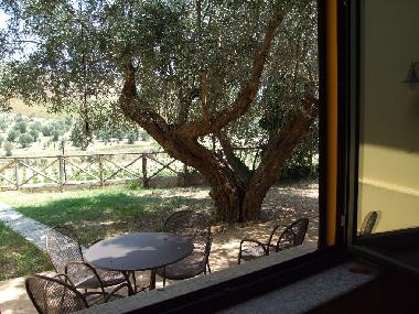 Holiday Apartment in SQUILLACE (Catanzaro) or holiday homes and vacation rentals