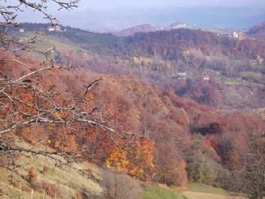 THE VIEW IN AUTUMN