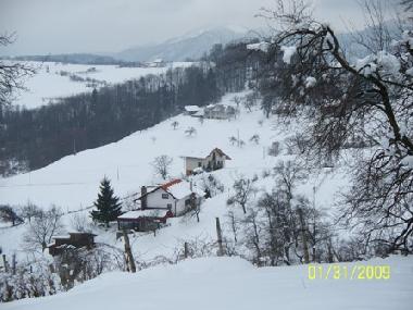 THE HOUSE IN WINTER