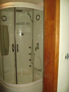 THE POWER SHOWER