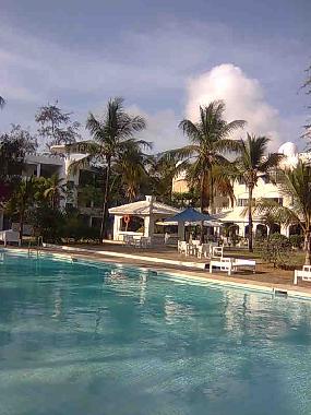 pool & sun beds