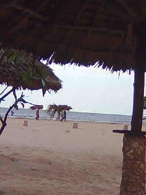 beach view