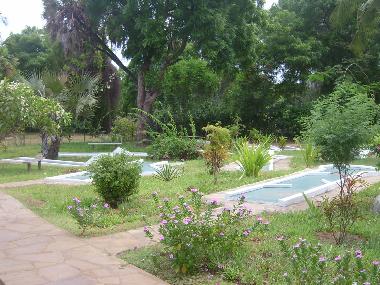 mini golf