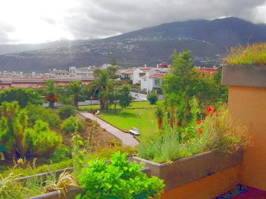 Holiday Apartment in 38400 (Teneriffa) or holiday homes and vacation rentals