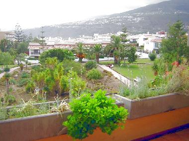 Holiday Apartment in 38400 (Teneriffa) or holiday homes and vacation rentals