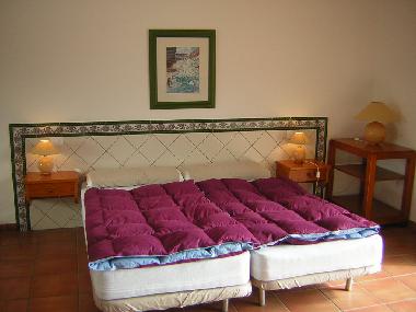 Holiday Apartment in 38400 (Teneriffa) or holiday homes and vacation rentals