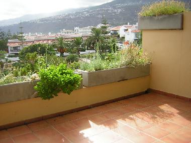 Holiday Apartment in 38400 (Teneriffa) or holiday homes and vacation rentals