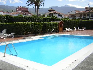 Holiday Apartment in 38400 (Teneriffa) or holiday homes and vacation rentals