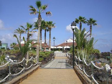 Holiday Apartment in 38400 (Teneriffa) or holiday homes and vacation rentals
