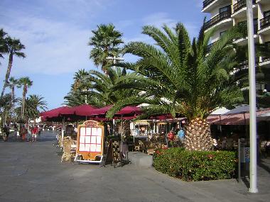 Holiday Apartment in Puerto de la Cruz (Teneriffa) or holiday homes and vacation rentals