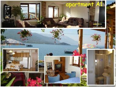 Apartment A1, 50 sqm, 1-st floor
