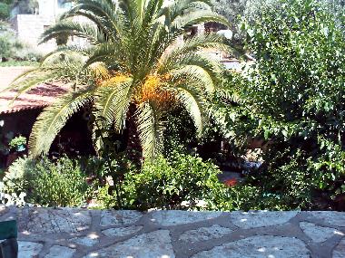 Holiday House in BODRUM-YALIKAVAK (Mugla) or holiday homes and vacation rentals