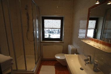 Holiday Apartment in Pettneu (Tiroler Oberland) or holiday homes and vacation rentals