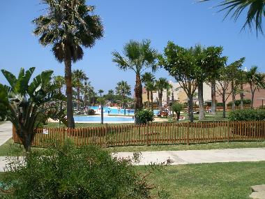 Gardens and Swimming-pool