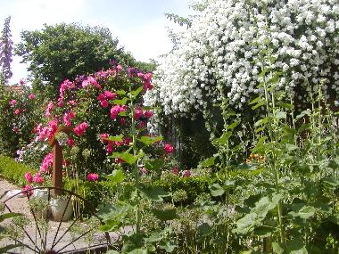 Holiday Apartment in Khsen (Herzogtum Lauenburg) or holiday homes and vacation rentals