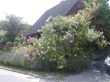 Holiday Apartment in Khsen (Herzogtum Lauenburg) or holiday homes and vacation rentals