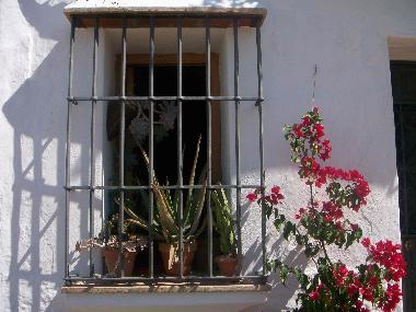 Holiday House in OJEN (Mlaga) or holiday homes and vacation rentals