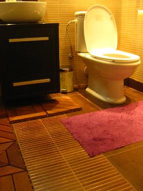 Holiday Apartment in Belgrade (Central Serbia) or holiday homes and vacation rentals