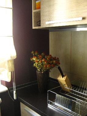 Holiday Apartment in Belgrade (Central Serbia) or holiday homes and vacation rentals