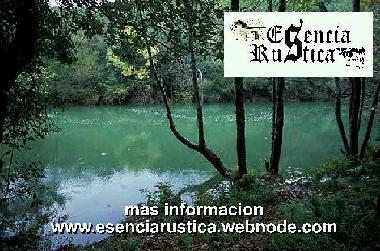 Holiday House in Curtis (A Corua) or holiday homes and vacation rentals