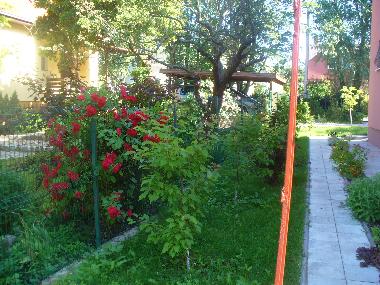 Holiday Apartment in Selenogradsk  (Kaliningradskaya Oblast) or holiday homes and vacation rentals