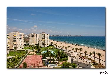 Holiday Apartment in alicante (Alicante / Alacant) or holiday homes and vacation rentals